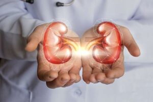 About Kidney